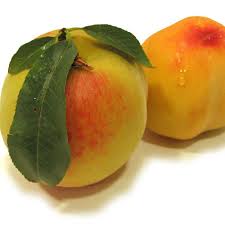Pessêgo Orgânico-0
